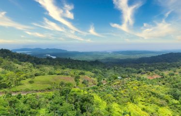 DEVELOPMENT PROPERTY WITH MOUNTAIN AND OCEAN VIEWS, IN SIERPE – 1.917 ACRES