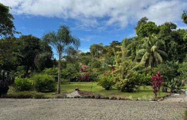 PROPERTY WITH TWO BEDROOM AND PEACEFUL GARDEN, IN OJOCHAL – 7.23 ACRES