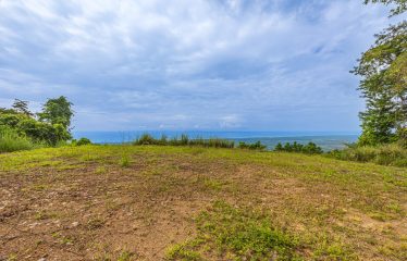 DEVELOPMENT PROPERTY WITH PANORAMIC VIEWS OF THE OCEAN AND SUNSET, IN PORTALON – 44 ACRES