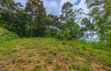 DEVELOPMENT PROPERTY WITH PANORAMIC VIEWS OF THE OCEAN AND SUNSET, IN PORTALON – 44 ACRES