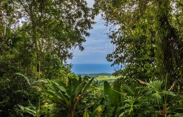 DEVELOPMENT PROPERTY WITH PANORAMIC VIEWS OF THE OCEAN AND SUNSET, IN PORTALON – 44 ACRES