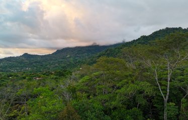 BUILDING PROPERTY WITH BEAUTIFUL SUNSET VIEWS, IN OJOCHAL – 4.53 ACRES