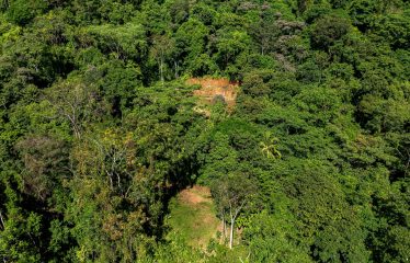 DEVELOPMENT PROPERTY WITH PANORAMIC VIEWS OF THE OCEAN AND SUNSET, IN PORTALON – 44 ACRES