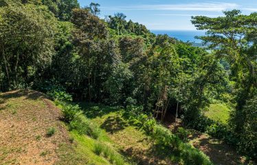DEVELOPMENT PROPERTY WITH PANORAMIC VIEWS OF THE OCEAN AND SUNSET, IN PORTALON – 44 ACRES
