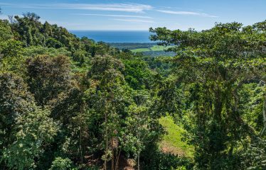 DEVELOPMENT PROPERTY WITH PANORAMIC VIEWS OF THE OCEAN AND SUNSET, IN PORTALON – 44 ACRES