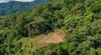 DEVELOPMENT PROPERTY WITH PANORAMIC VIEWS OF THE OCEAN AND SUNSET, IN PORTALON – 44 ACRES