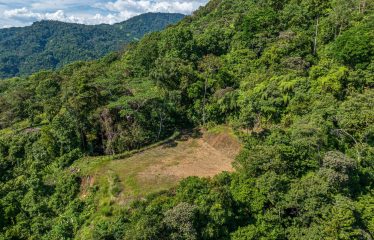DEVELOPMENT PROPERTY WITH PANORAMIC VIEWS OF THE OCEAN AND SUNSET, IN PORTALON – 44 ACRES
