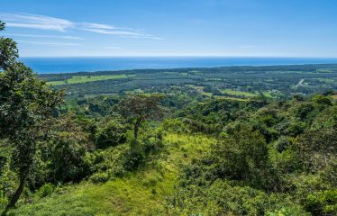 DEVELOPMENT PROPERTY WITH PANORAMIC VIEWS OF THE OCEAN AND SUNSET, IN PORTALON – 44 ACRES