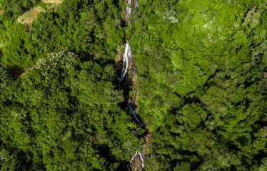 DEVELOPMENT PROPERTY WITH MOUNTAINS VIEWS AND NEAR TO THE CASCADE, IN LA PALMA – 12 ACRES