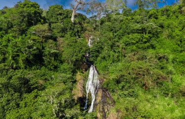 DEVELOPMENT PROPERTY WITH MOUNTAINS VIEWS AND NEAR TO THE CASCADE, IN LA PALMA – 12 ACRES