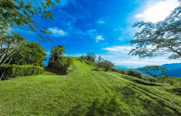 DEVELOPMENT PROPERTY WITH MOUNTAINS VIEWS AND NEAR TO THE CASCADE, IN LA PALMA – 12 ACRES