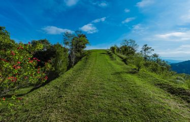 DEVELOPMENT PROPERTY WITH MOUNTAINS VIEWS AND NEAR TO THE CASCADE, IN LA PALMA – 12 ACRES