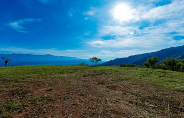 DEVELOPMENT PROPERTY WITH MOUNTAINS VIEWS AND NEAR TO THE CASCADE, IN LA PALMA – 12 ACRES