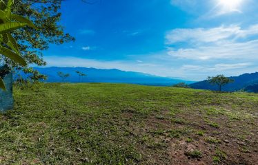 DEVELOPMENT PROPERTY WITH MOUNTAINS VIEWS AND NEAR TO THE CASCADE, IN LA PALMA – 12 ACRES