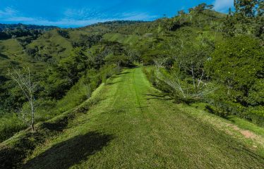 DEVELOPMENT PROPERTY WITH MOUNTAINS VIEWS AND NEAR TO THE CASCADE, IN LA PALMA – 12 ACRES