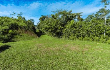 DEVELOPMENT PROPERTY WITH MOUNTAINS VIEWS AND NEAR TO THE CASCADE, IN LA PALMA – 12 ACRES