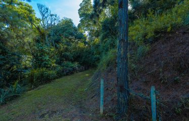 DEVELOPMENT PROPERTY WITH MOUNTAINS VIEWS AND NEAR TO THE CASCADE, IN LA PALMA – 12 ACRES