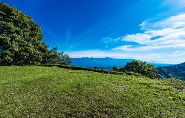 DEVELOPMENT PROPERTY WITH MOUNTAINS VIEWS AND NEAR TO THE CASCADE, IN LA PALMA – 12 ACRES