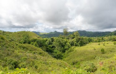 DEVELOPMENT PROPERTY WITH MOUNTAIN AND OCEAN VIEWS, IN SIERPE – 1.917 ACRES