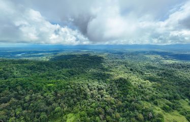 DEVELOPMENT PROPERTY WITH MOUNTAIN AND OCEAN VIEWS, IN SIERPE – 1.917 ACRES