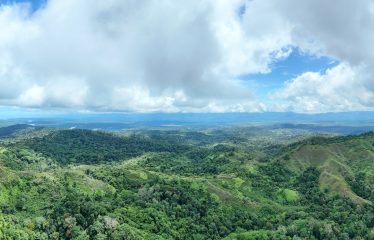 DEVELOPMENT PROPERTY WITH MOUNTAIN AND OCEAN VIEWS, IN SIERPE – 1.917 ACRES