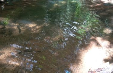 DEVELOPMENT PROPERTY WITH MOUNTAIN AND OCEAN VIEWS, IN SIERPE – 1.917 ACRES