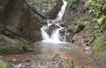 DEVELOPMENT PROPERTY WITH MOUNTAIN AND OCEAN VIEWS, IN SIERPE – 1.917 ACRES