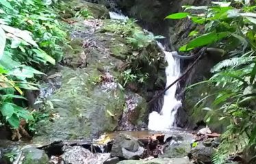 DEVELOPMENT PROPERTY WITH MOUNTAIN AND OCEAN VIEWS, IN SIERPE – 1.917 ACRES