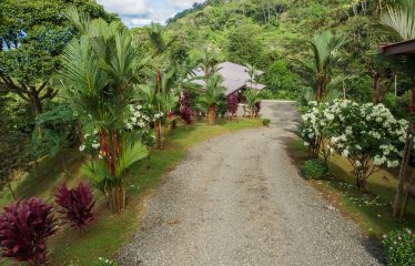 PROPERTY WITH THREE BEDROOM AND PANORAMIC OCEAN VIEWS, IN PORTALON – 3.8 ACRES