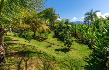 LUXURY PROPERTY WITH THREE BEDROOM AND OCEAN VIEWS, IN PLATANILLO – 5.67 ACRES