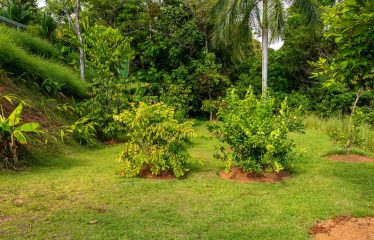 LUXURY PROPERTY WITH THREE BEDROOM AND OCEAN VIEWS, IN PLATANILLO – 5.67 ACRES