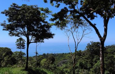 BUILDING PROPERTY WITH OCEANFRONT VIEWS, IN ESCALERAS – 5.8 ACRES