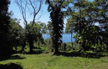 BUILDING PROPERTY WITH OCEANFRONT VIEWS, IN ESCALERAS – 5.8 ACRES