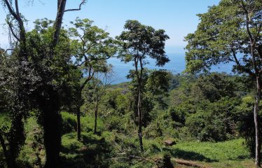 BUILDING PROPERTY WITH OCEANFRONT VIEWS, IN ESCALERAS – 5.8 ACRES