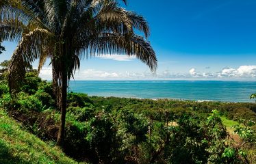 DEVELOPMENT PROPERTY WITH OCEAN VIEWS AND A PRIVATE CASCADE, IN GUAPIL – 12.7 ACRES