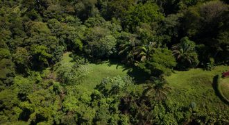 DEVELOPMENT PROPERTY WITH OCEAN VIEWS AND A PRIVATE CASCADE, IN GUAPIL – 12.7 ACRES