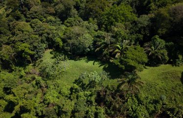 DEVELOPMENT PROPERTY WITH OCEAN VIEWS AND A PRIVATE CASCADE, IN GUAPIL – 12.7 ACRES