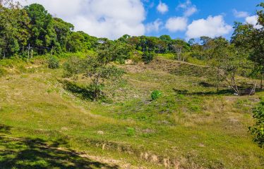 DEVELOPMENT PROPERTY WITH BEAUTIFUL CASCADE, IN UVITA – 101 ACRES