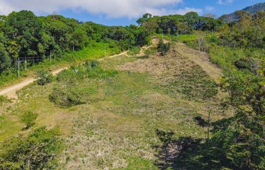 DEVELOPMENT PROPERTY WITH BEAUTIFUL CASCADE, IN UVITA – 101 ACRES
