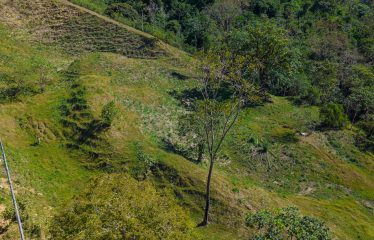 DEVELOPMENT PROPERTY WITH BEAUTIFUL CASCADE, IN UVITA – 101 ACRES