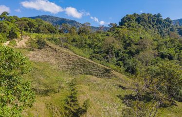 DEVELOPMENT PROPERTY WITH BEAUTIFUL CASCADE, IN UVITA – 101 ACRES