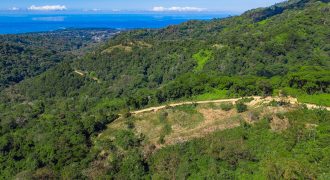 DEVELOPMENT PROPERTY WITH BEAUTIFUL CASCADE, IN UVITA – 101 ACRES