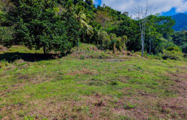 DEVELOPMENT PROPERTY WITH BEAUTIFUL CASCADE, IN UVITA – 101 ACRES