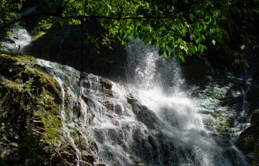 DEVELOPMENT PROPERTY WITH OCEAN VIEWS AND A PRIVATE CASCADE, IN GUAPIL – 12.7 ACRES