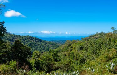 DEVELOPMENT PROPERTY WITH BEAUTIFUL CASCADE, IN UVITA – 101 ACRES