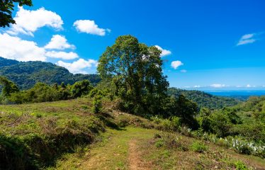 DEVELOPMENT PROPERTY WITH BEAUTIFUL CASCADE, IN UVITA – 101 ACRES