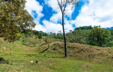 DEVELOPMENT PROPERTY WITH BEAUTIFUL CASCADE, IN UVITA – 101 ACRES