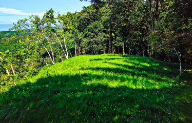 DEVELOPMENT PROPERTY WITH OCEAN VIEWS AND A PRIVATE CASCADE, IN GUAPIL – 12.7 ACRES