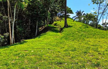 DEVELOPMENT PROPERTY WITH OCEAN VIEWS AND A PRIVATE CASCADE, IN GUAPIL – 12.7 ACRES