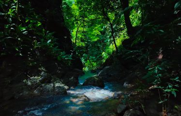 DEVELOPMENT PROPERTY WITH OCEAN VIEWS AND A PRIVATE CASCADE, IN GUAPIL – 12.7 ACRES